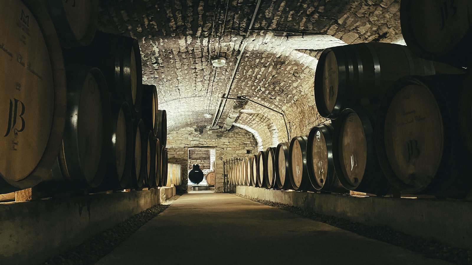 Wooden barrels lining a quiet winery cellar