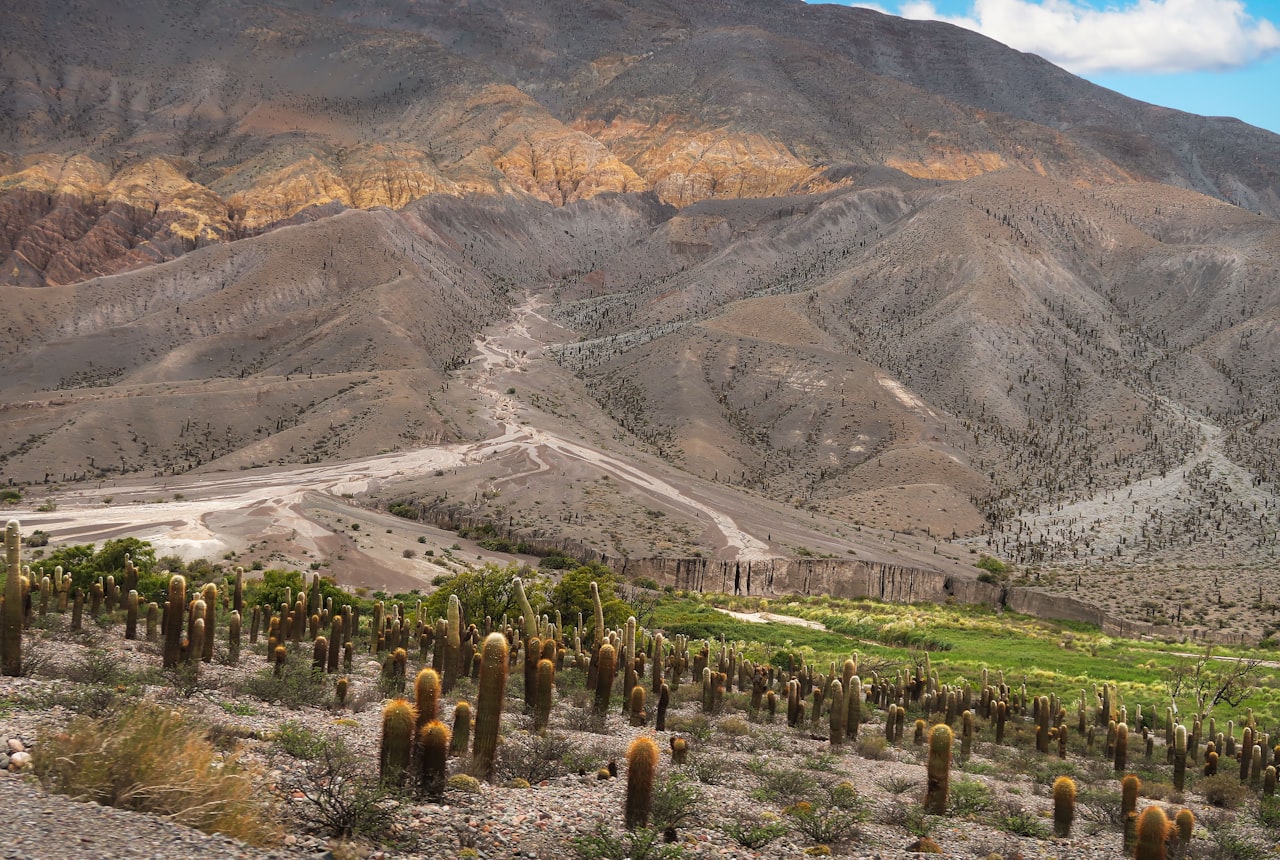 The highest vineyards