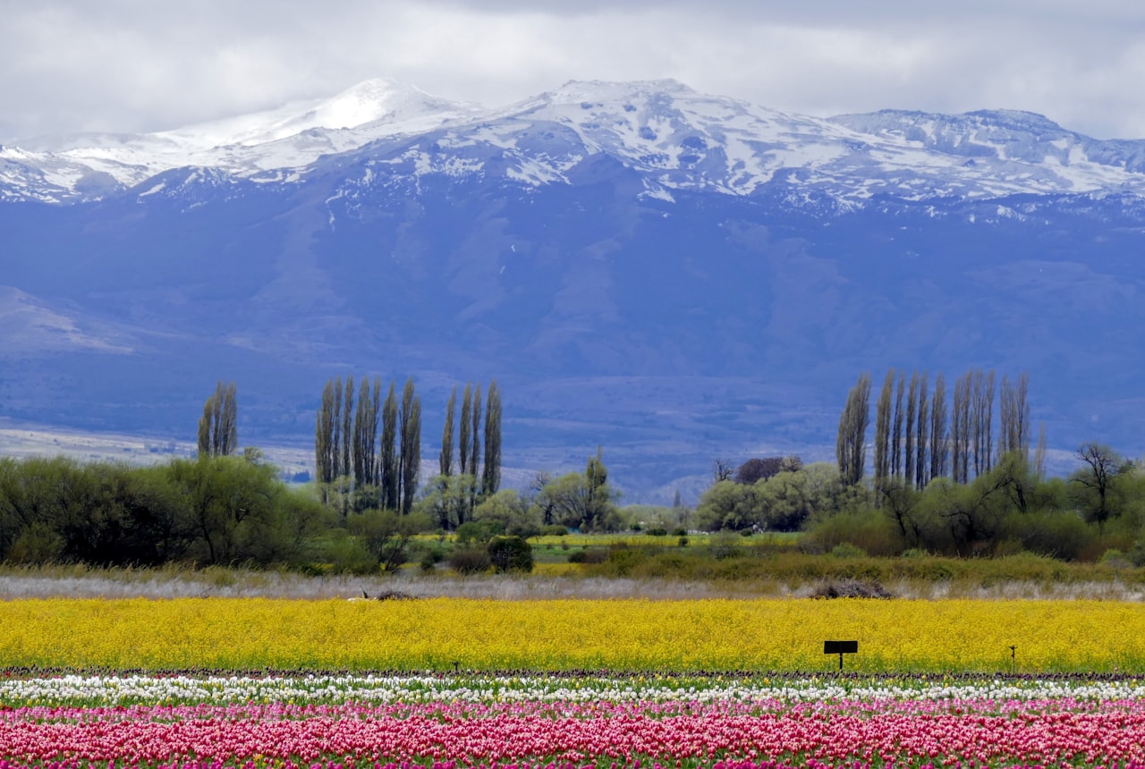 Visiting Salta