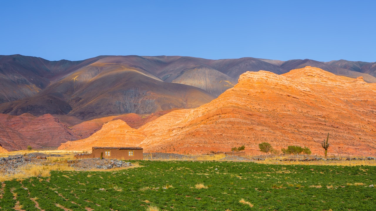 High-altitude Andean vineyard with rocky, stony soil