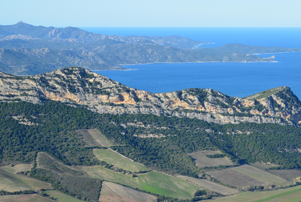 Coastal vineyards near the Atlantic ocean under a wide sky