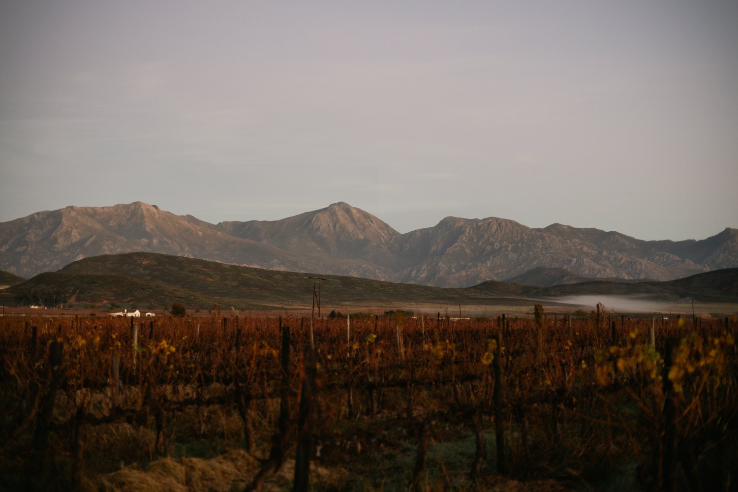 A sun-baked San Juan desert vineyard with bare mountains