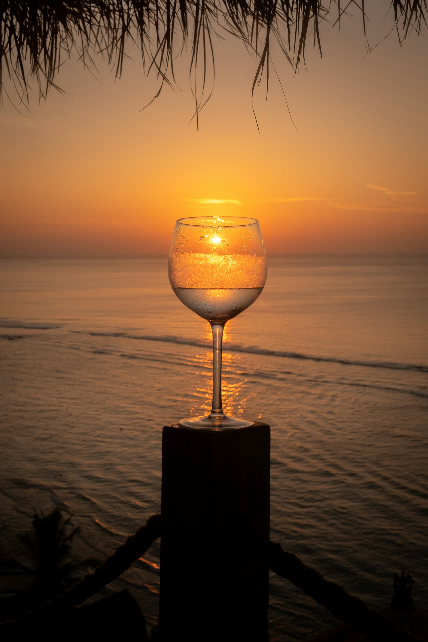 A glass of golden late-harvest Torrontés white wine