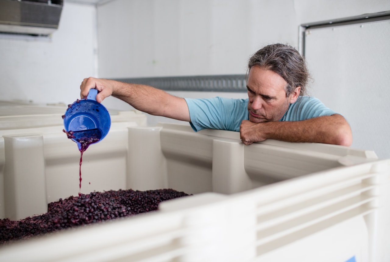 A red wine fermentation tank in a winery during cold soak