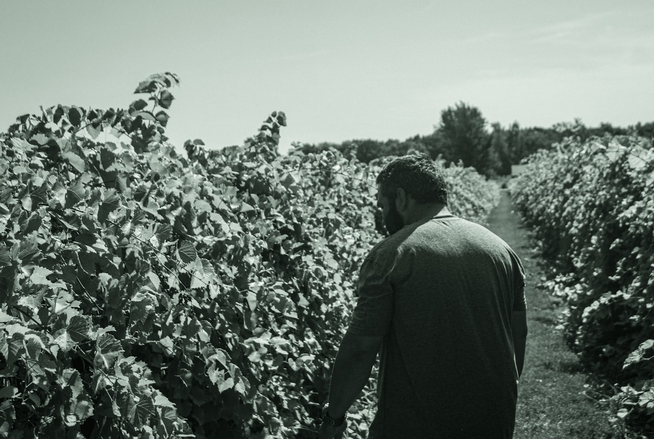A young winemaker standing in a high-altitude Argentine vineyard