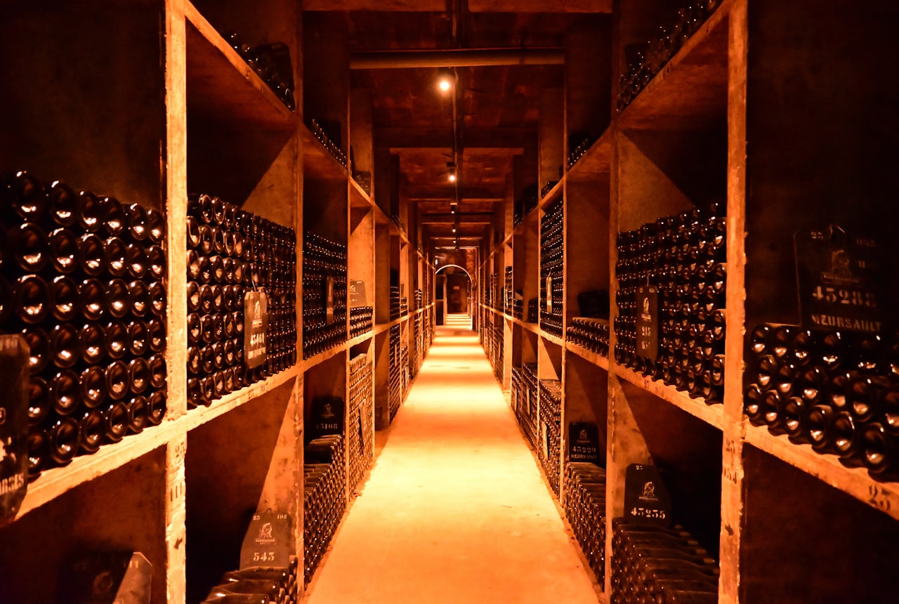 A long underground cellar with rows of stacked oak barrels in warm golden light
