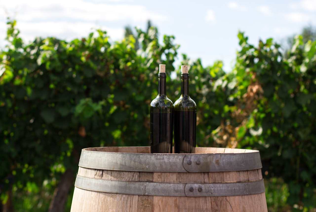 Two corked wine bottles resting on an oak barrel in a vineyard