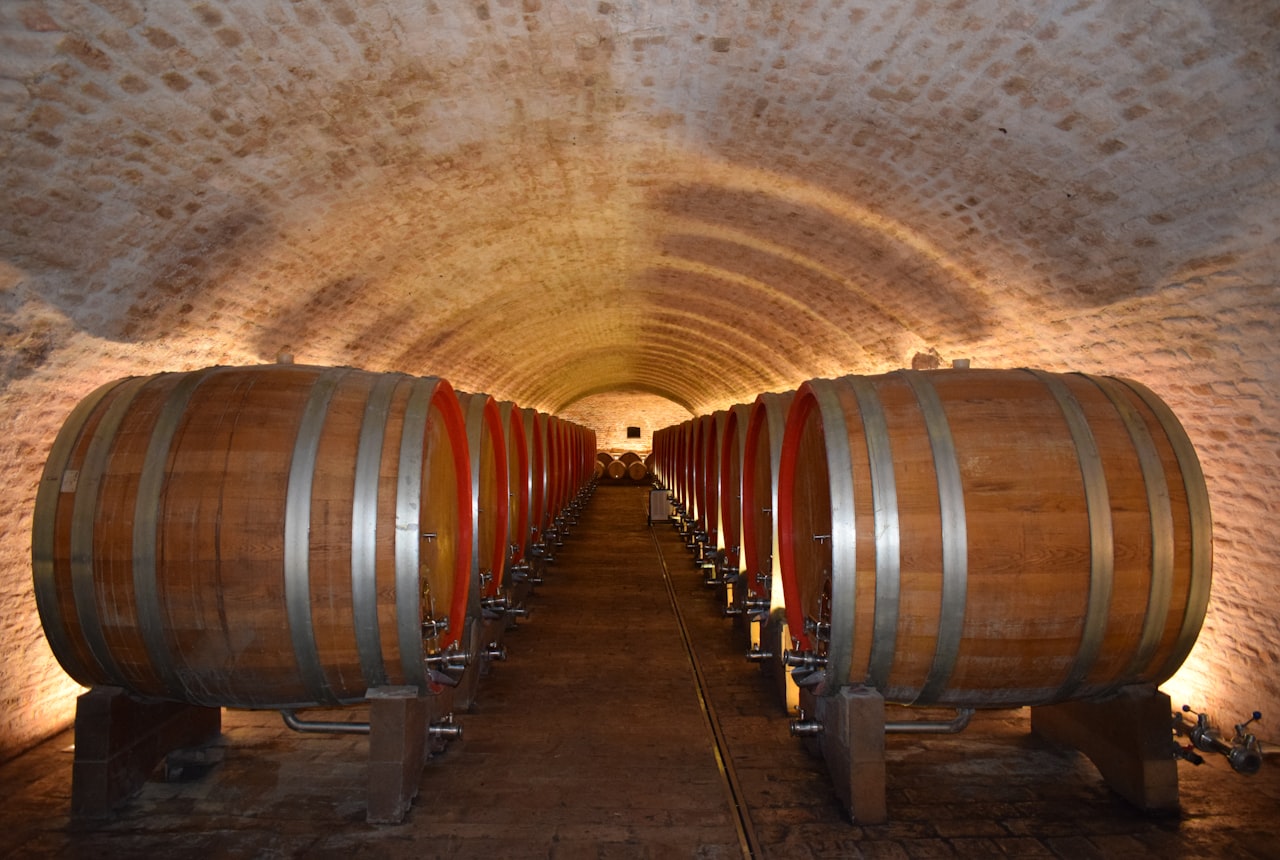 A long vaulted cellar tunnel lined with rows of oak barrels of different sizes