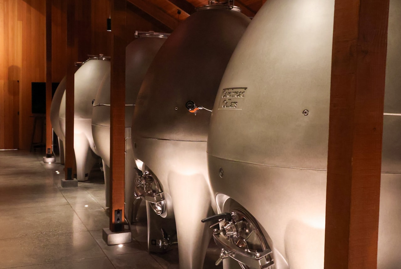 A row of modern concrete egg fermenters in a wooden-beamed Argentine winery