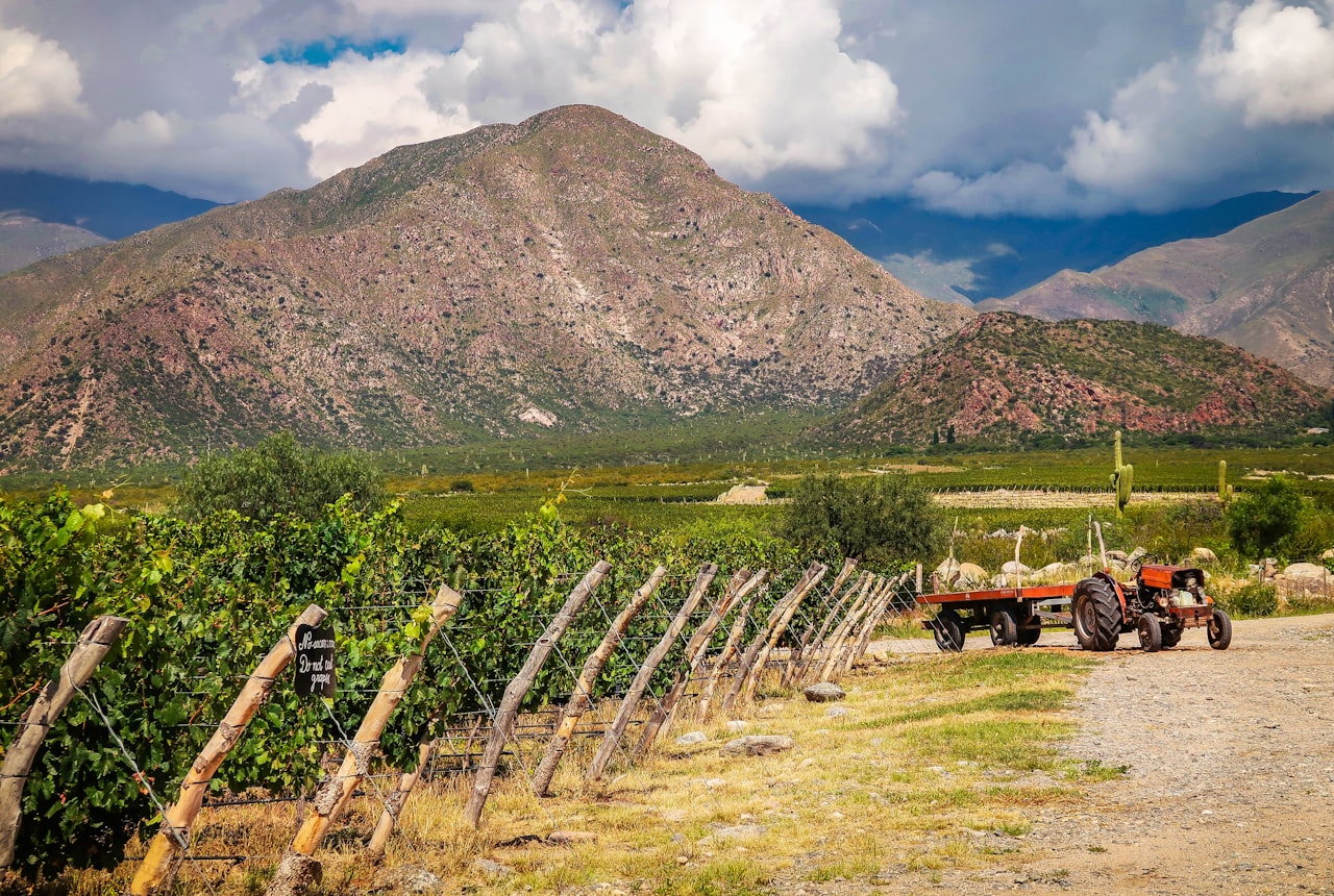 Vineyards running toward the snow-dusted Andes near Mendoza