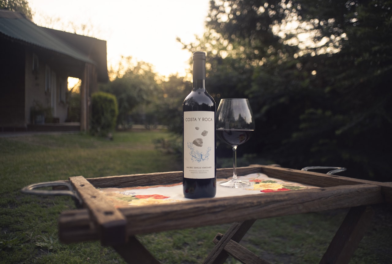 A glass of deeply coloured, purple-red Bonarda