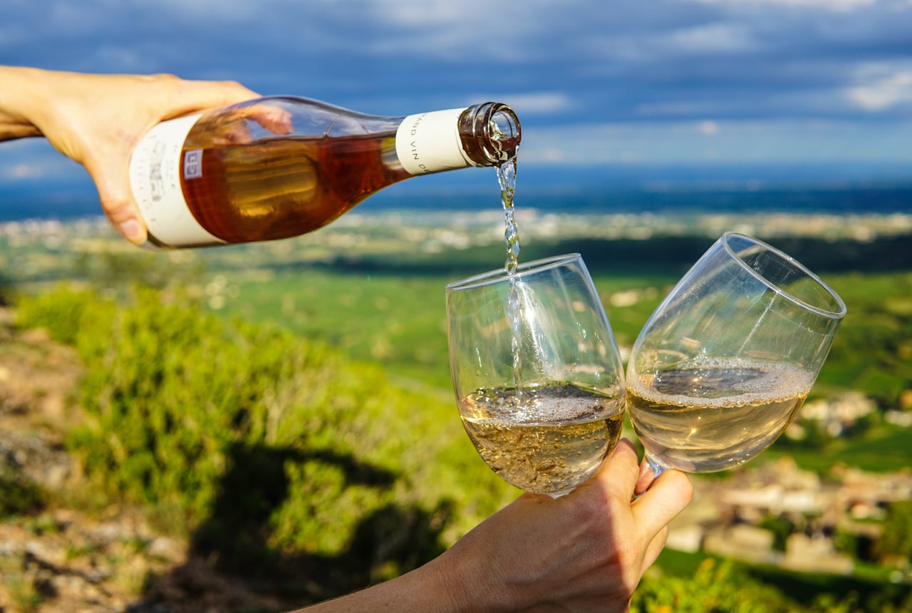 A stony high-altitude vineyard in the Uco Valley