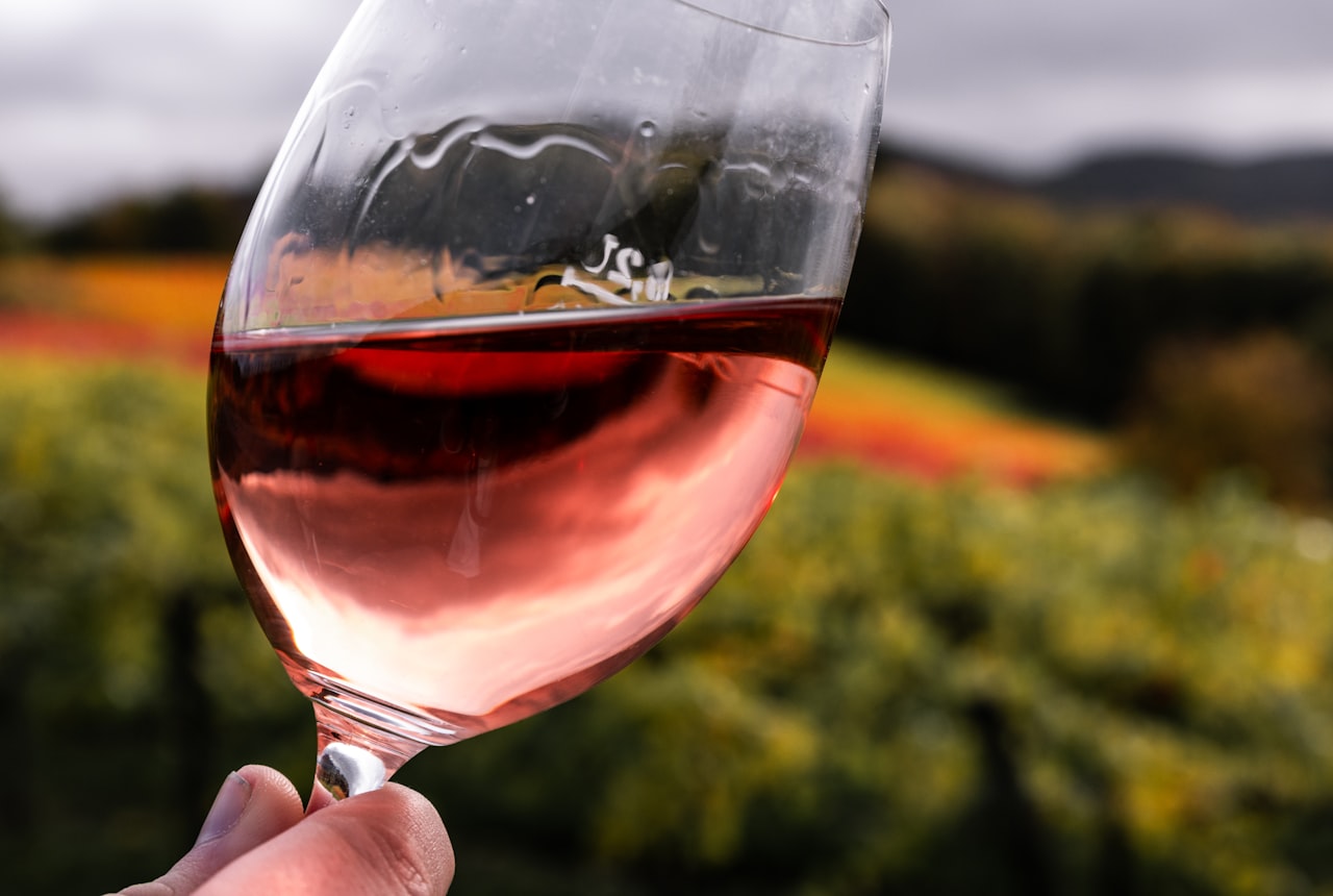 A wine glass held by the stem in soft light